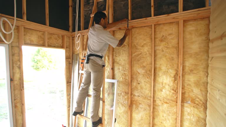 Best Attic Insulation Installation  in Cobden, IL