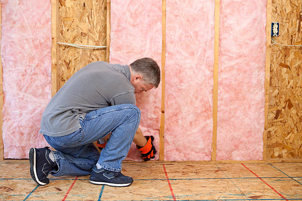 Best Basement Insulation  in Cobden, IL