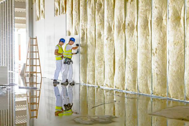 Best Crawl Space Insulation  in Cobden, IL